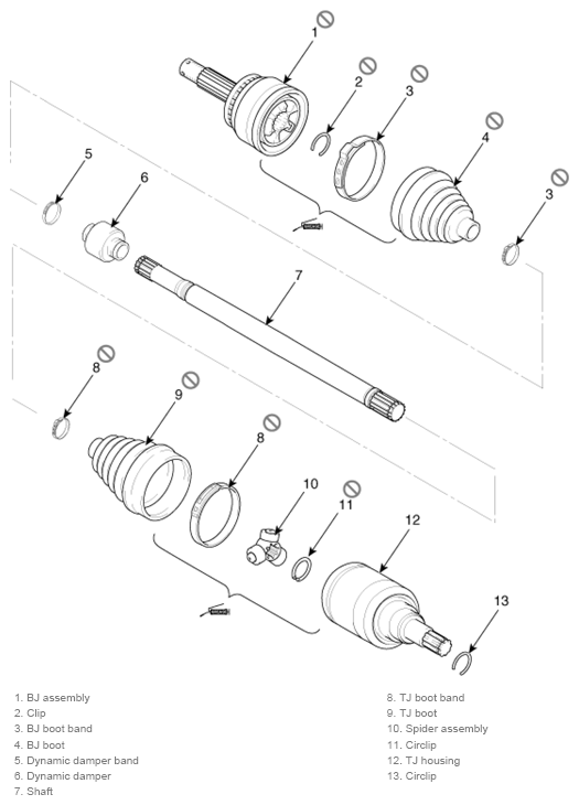 G13044653