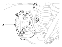 G13044656
