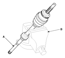 G13044675