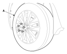G13044788