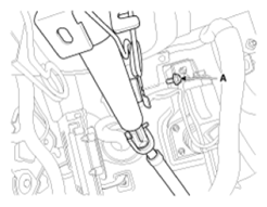 G13044931