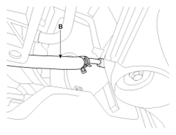 G13044956