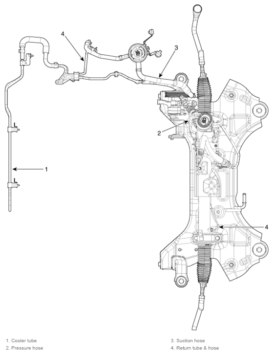 G13044961