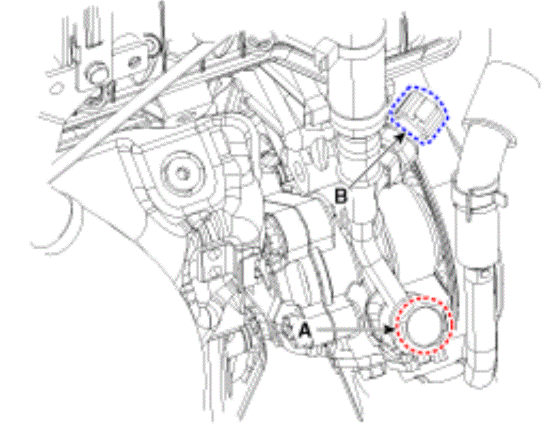G13044963