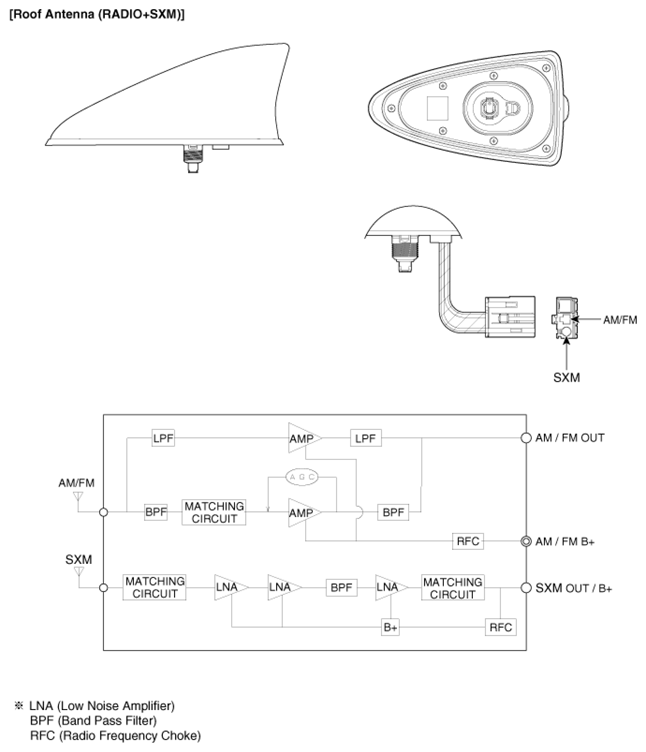 G13046566