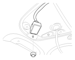 G13047523