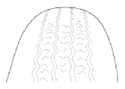 G13052986