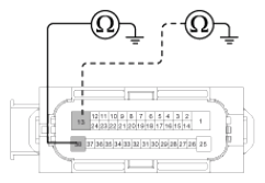 G13053556