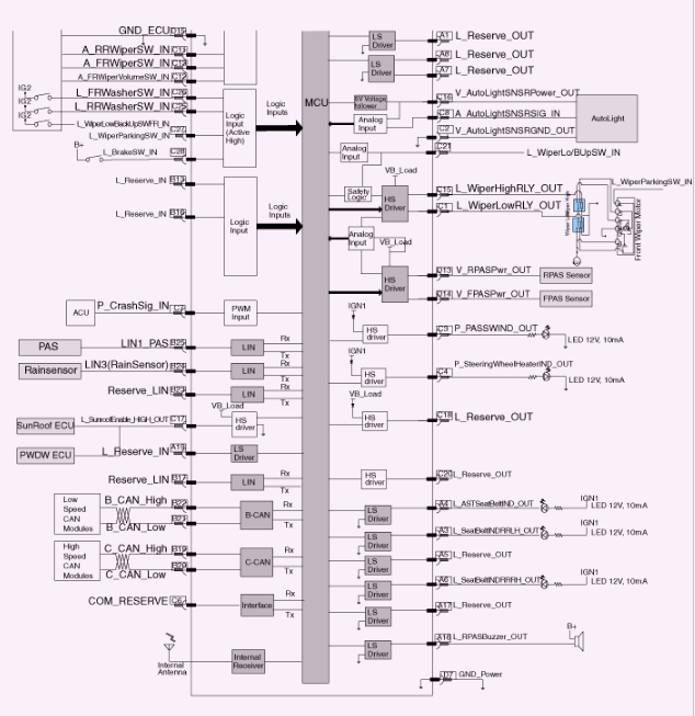 G13054291