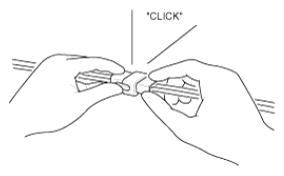 G13055492