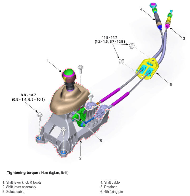 G13055681