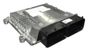 G13055906