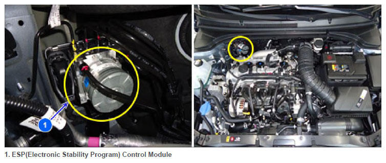 G13056189