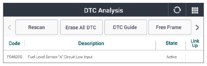 G13066083