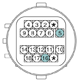 G13077921
