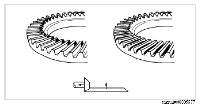 G13111756