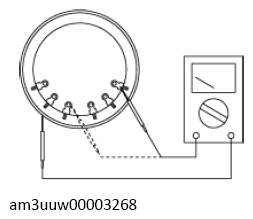G13113069