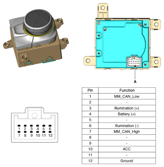 G13128425
