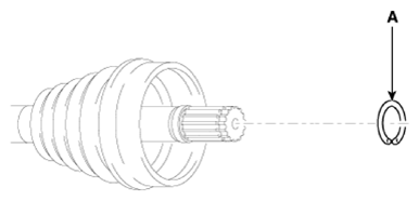 G13144078