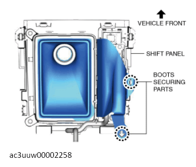G13149684