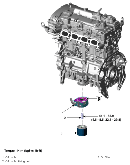G13155349