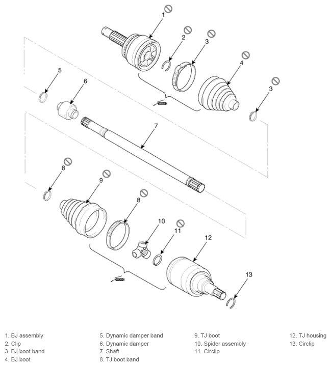 G13156289
