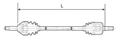 G13156317