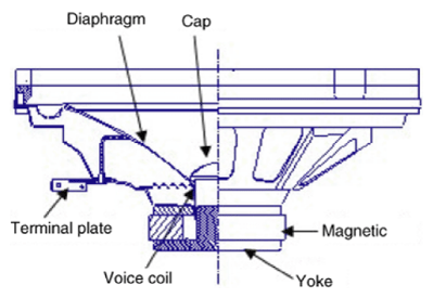 G13157857