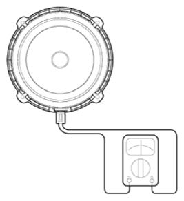 G13157858