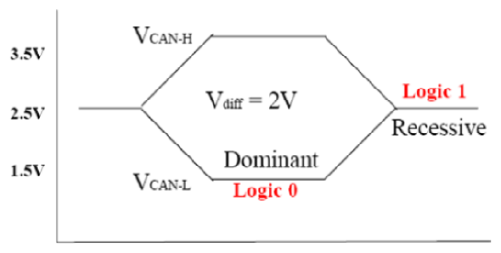 G13162356