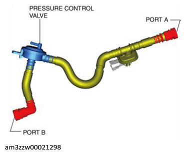 G13175281
