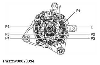 G13175339
