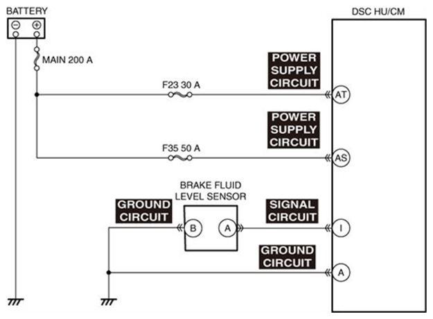 G13176146