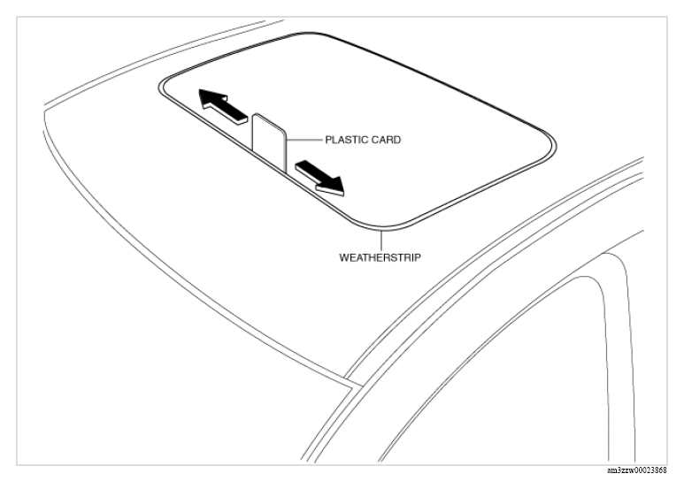 G13179195