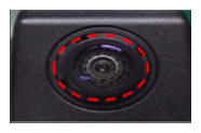 G13203956
