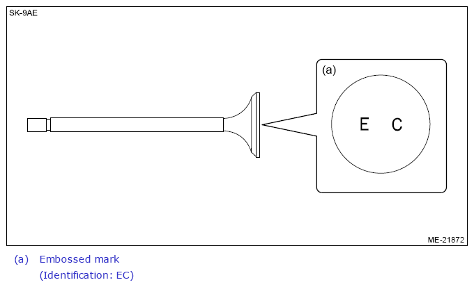 G13224544