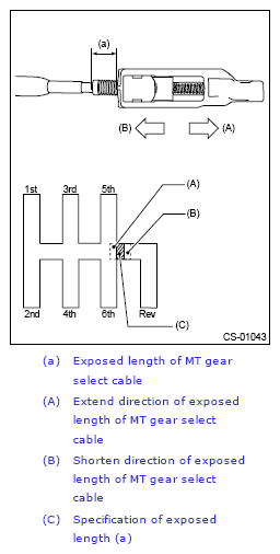 G13229484