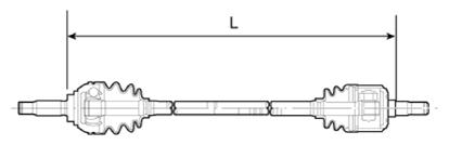 G13281219