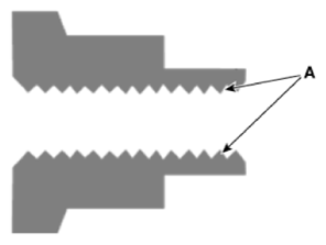 G13281244
