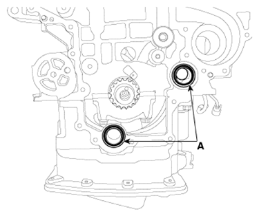 G13303491