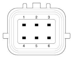 G13304958