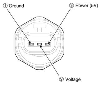G13306408