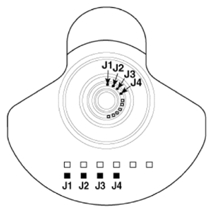 G13309476