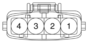 G13310006