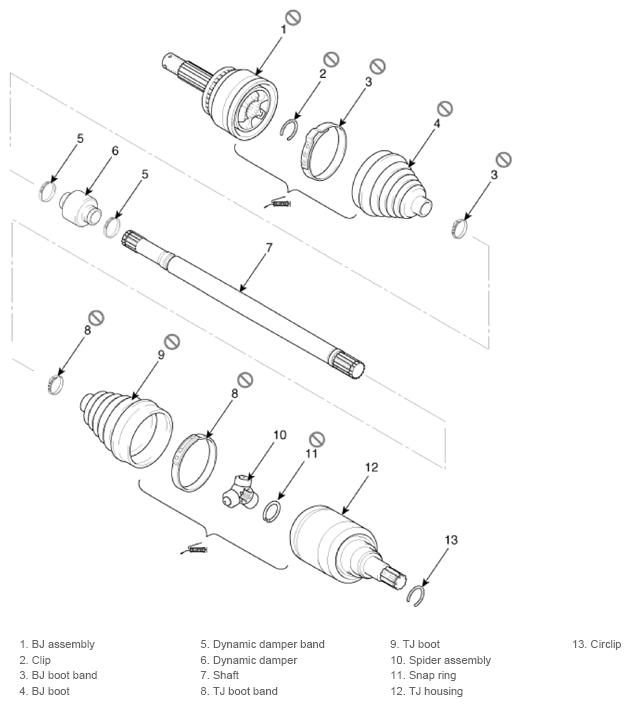 G13310651