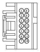 G13340561