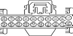 G13342779