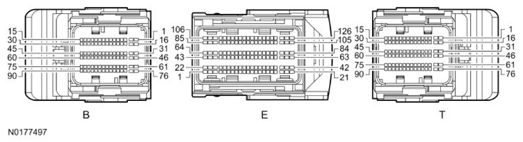 G13343398