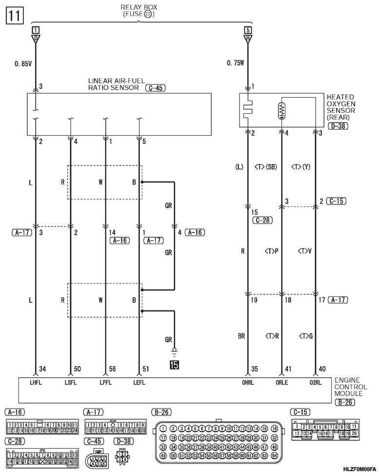 G13346137