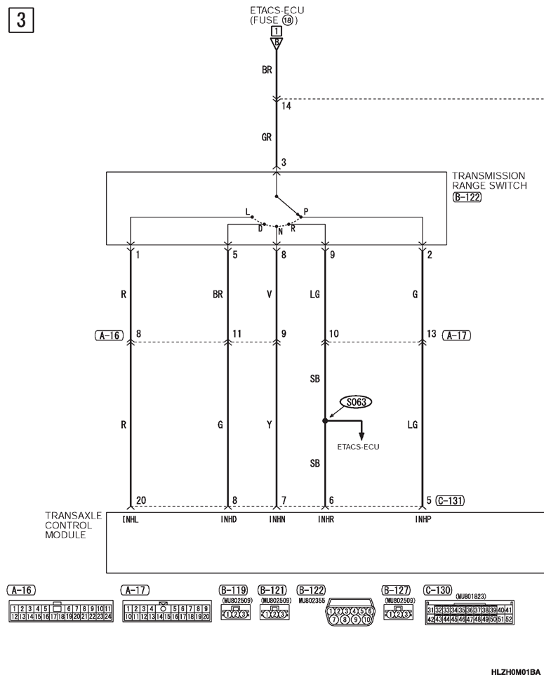 G13346145